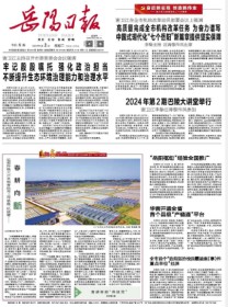岳阳日报